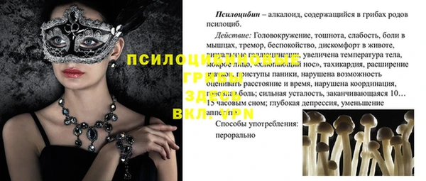 прущие крисы Верхний Тагил