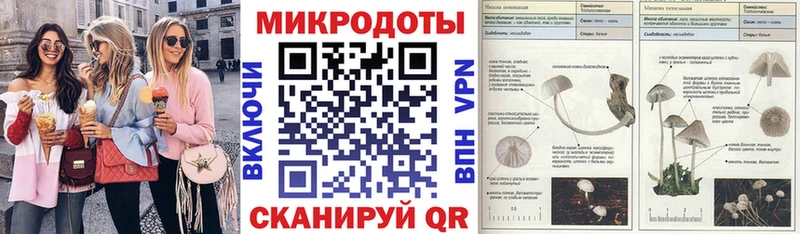 Галлюциногенные грибы Psilocybine cubensis  Купить  Межгорье 